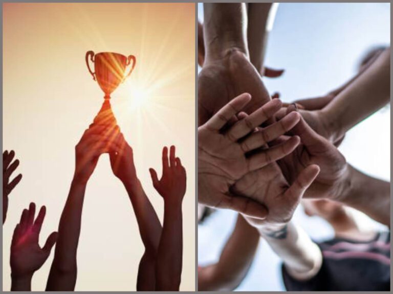 Professional Sports Teams